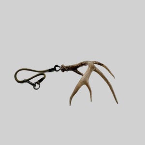 White-tailed shed rearview mirror hanger