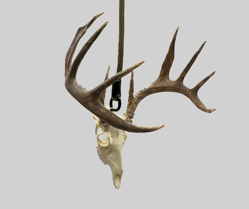 May include: A deer skull with large, brown antlers hangs from a green rope. The skull is off-white with visible bone structure. A black carabiner connects the skull to the rope, creating a rustic, natural aesthetic.
