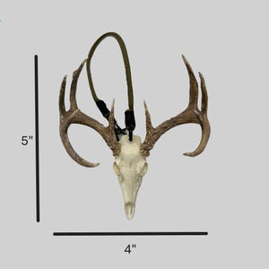 May include: A deer skull with antlers, suspended by a green cord. The skull is cream-colored, and the antlers are brown. The item measures 5 inches in height and 4 inches in width. This decorative piece is suitable for rustic or nature-themed decor.