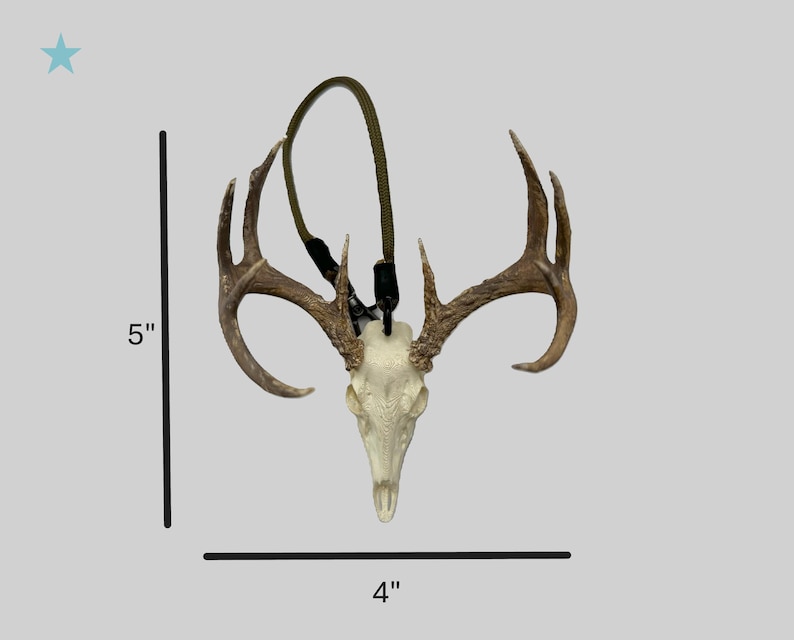 May include: A deer skull with antlers, suspended by a green cord. The skull is cream-colored, and the antlers are brown. The item measures 5 inches in height and 4 inches in width. This decorative piece is suitable for rustic or nature-themed decor.