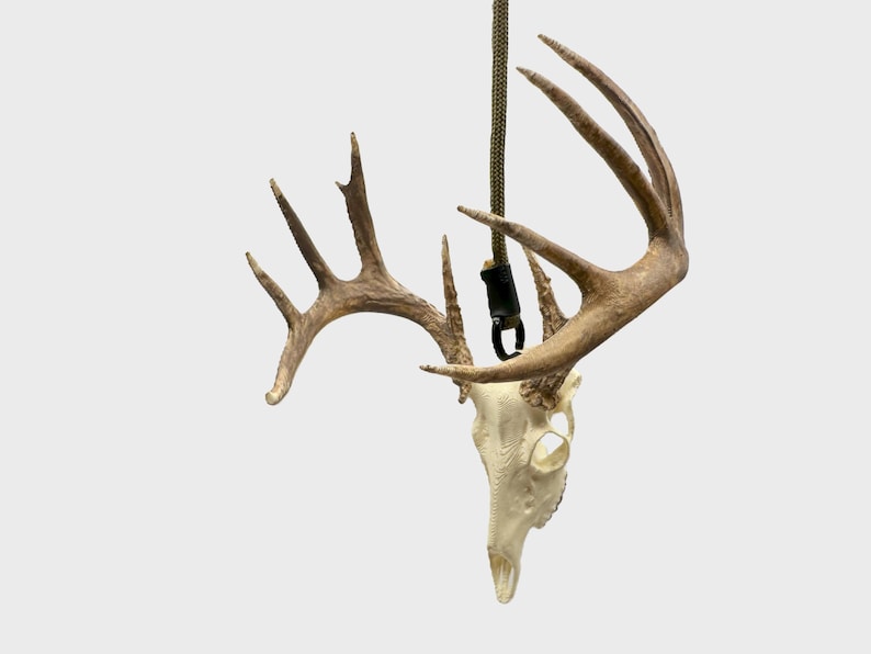 May include: A deer skull with large antlers, suspended by a rope. The skull is off-white, and the antlers are a light brown. A black clasp connects the rope to the antlers. The background is a solid, light gray.