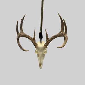 May include: A deer skull pendant with attached antlers. The skull is off-white, and the antlers are a light brown. A dark green cord is attached to the skull for hanging. The pendant is displayed against a light gray background.