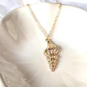Gold Shell Necklace – Dainty Conch Seashell Pendant, Beach Jewelry, Minimalist Summer Necklace, Ocean Inspired Gift for Her