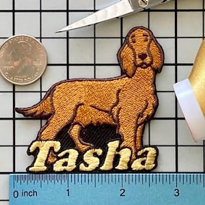 Personalized Irish Setter Dog Patch: Custom Embroidered Iron-On Applique