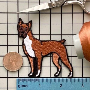 Boxer Dog Patch Iron on No Name