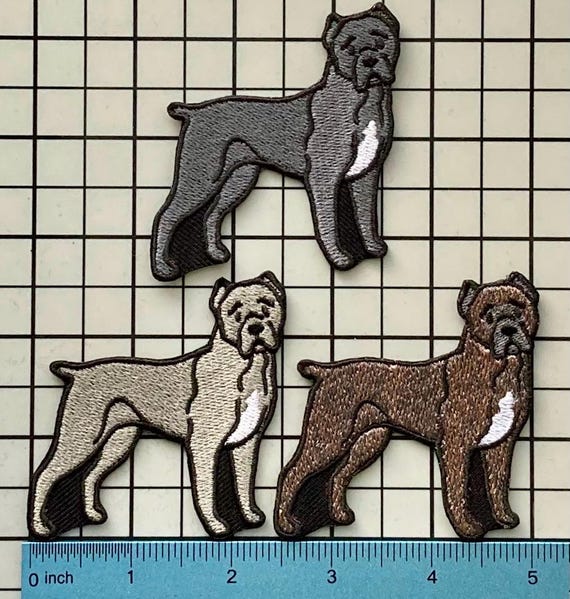 Cane Corso Dog Patch Iron on No Name