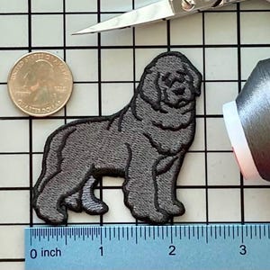 Newfoundland Dog Patch Iron on No Name