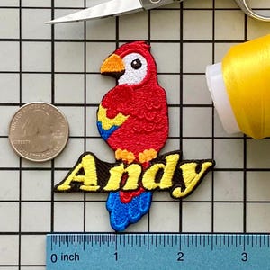 Personalized Parrot Name Patch: Custom Embroidered Iron-On Applique