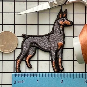 Doberman Pinscher Dog Patch Iron on No Name Doberman Black Tan