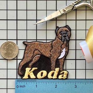 Personlig Cane Corso Hundmärke: Anpassad broderad stryk-på applikation Cane Corso Brindle