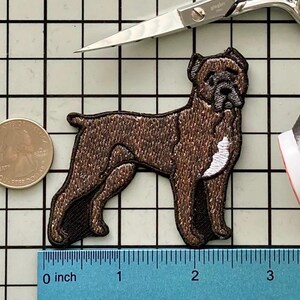 Parche termoadhesivo de perro Cane Corso sin nombre Cane Corso Brindle