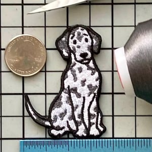 Parche termoadhesivo para perro dálmata sin nombre