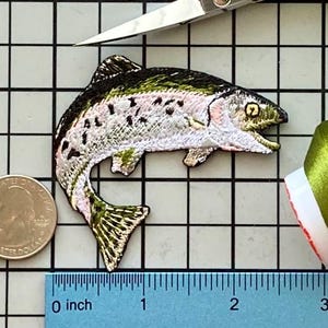 Parche de trucha arcoíris termoadhesivo sin nombre