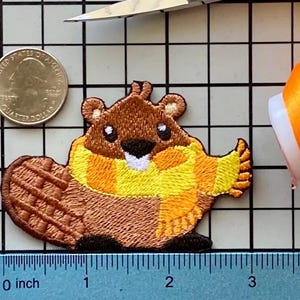 Beaver Patch Iron on No Name