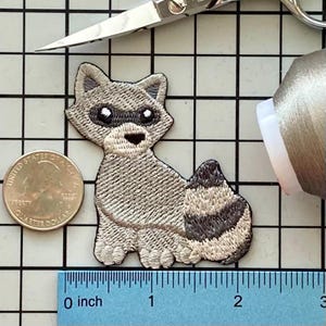 Parche de mapache para planchar sin nombre