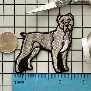 Parche termoadhesivo de perro Cane Corso sin nombre Cane Corso Grey