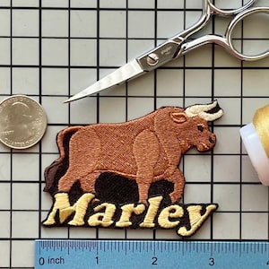 Parche con nombre de toro personalizado: aplique termoadhesivo bordado personalizado