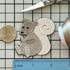 Squirrel  Patch Iron on No Name