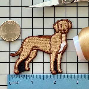 Parche termoadhesivo para perro Rhodesian Ridgeback sin nombre