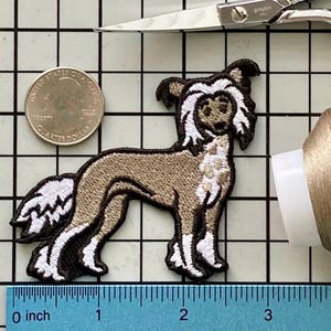 Fer à repasser pour chien chinois à crête sans nom