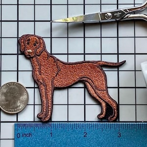 Vizsla Dog Patch Iron on No Name