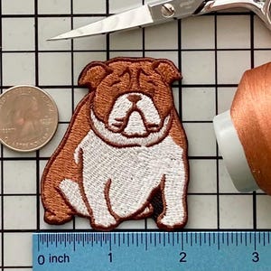 Bulldog Dog Patch Iron on No Name