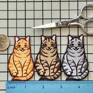 Tabby Cat Patch Iron on No Name