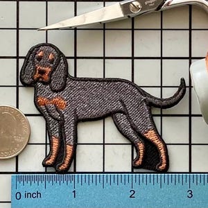 Black and Tan Coonhound Dog Patch Iron on No Name
