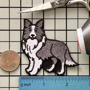 Border Collie Dog Patch Iron on No Name