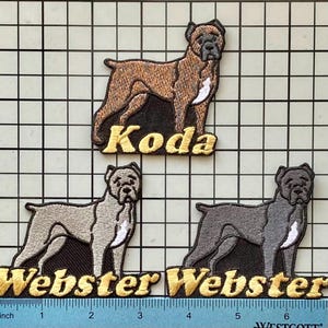 Personlig Cane Corso Hundmärke: Anpassad broderad stryk-på applikation bild 1