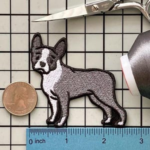 Boston Terrier Dog Patch Iron on No Name