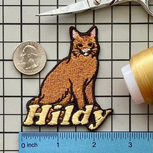 Personalized Somali Cat Patch/Custom Name/Iron-on 2 1/2&quot;(W) by 3&quot;(H)/Fun Badge/Decorative Embroidered Applique/Cat Lover Gift/Pet