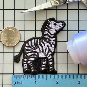 Zebra Patch Iron on No Name