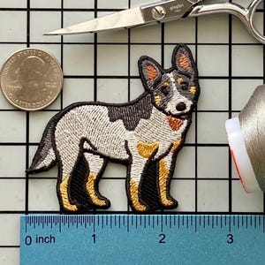 Australian Cattle Dog Patch Iron on No Name
