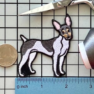 Parche termoadhesivo para perro Toy Fox Terrier sin nombre