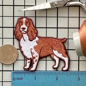 English Springer Spaniel Dog Patch Iron on No Name