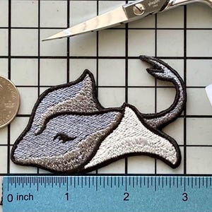 Parche de raya para planchar sin nombre