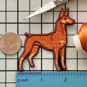 Doberman Pinscher Dog Patch Iron on No Name Doberman Red