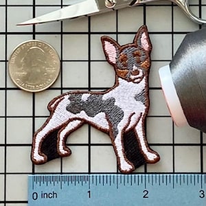 Rat Terrier Dog Patch Iron on No Name