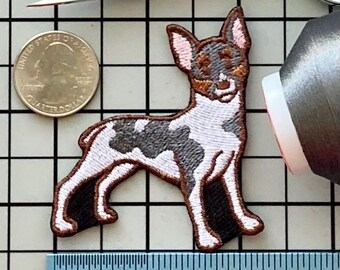 Rat Terrier Dog Patch Iron on No Name