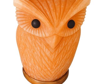 Hand-Carved Himalayan Salt Lamp Owl - 7 Inch Dimmer Night Light