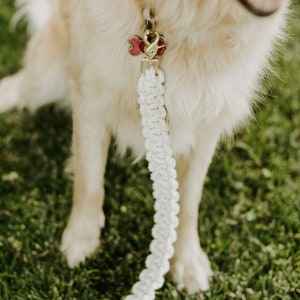 Neutral Macrame Dog Leash image 5