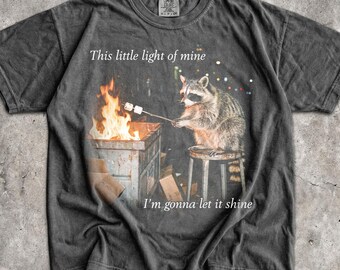 Camiseta Mapache en llamas - Camiseta gráfica unisex para hombre y mujer - Divertida camiseta de salud mental - Bonita camiseta de parodia - Camiseta meme de Trash Panda