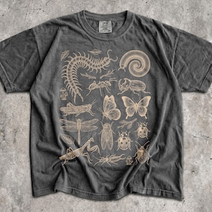 May include: A dark grey t-shirt with a beige illustration of insects, such as a centipede, butterflies, and a dragonfly. The word "Pepper" is printed at the bottom of the shirt.