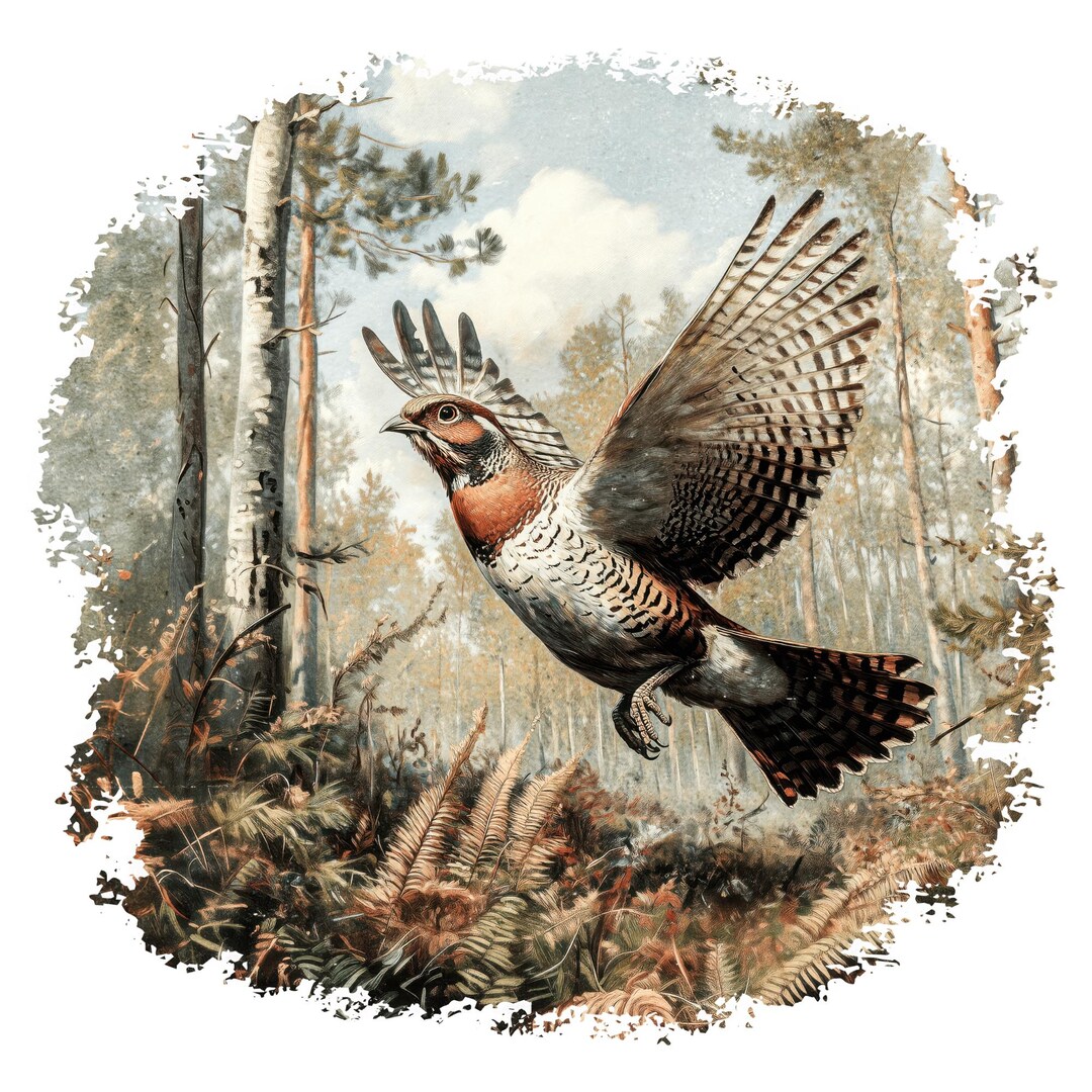 Ruffled Grouse Sublimation Design - Etsy
