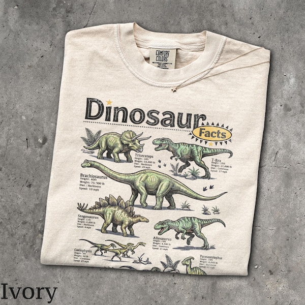 Maglietta con curiosità sui dinosauri - Maglietta grafica unisex per uomo e donna - Maglietta con infografica vintage - Maglietta con poster di dinosauri anni '90 - Simpatica maglietta dell'era giurassica