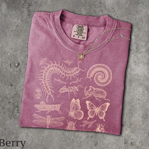May include: A berry-colored short-sleeve t-shirt featuring a light-colored graphic print of various insects, including a centipede, millipede, beetle, grasshopper, butterflies, and a dragonfly. The shirt has a Comfort Colors brand label.