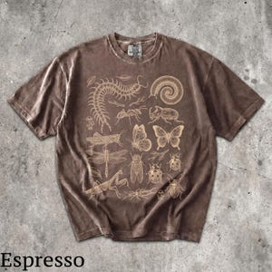 May include: An espresso brown short-sleeve t-shirt featuring a detailed cream-colored graphic print of various insects, including a centipede, butterfly, dragonfly, beetle, and mantis, arranged across the front with the Comfort Colors brand label.