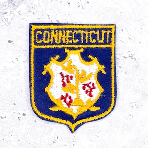 May include: A rectangular embroidered patch with a dark blue background and a yellow border. The word CONNECTICUT is stitched in yellow at the top. Below, a white shield features three yellow grapevines with red grapes, all outlined in yellow.
