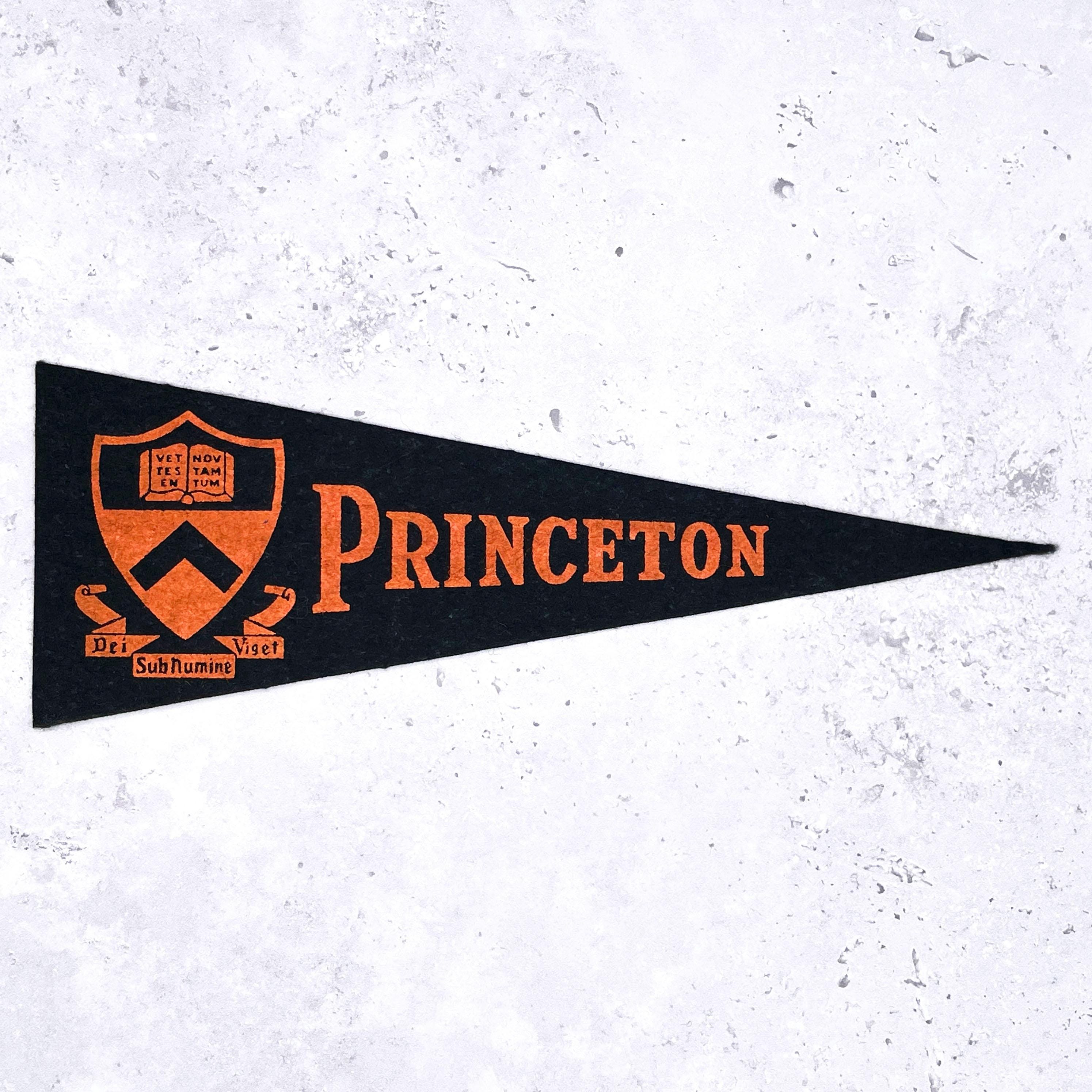 Vintage Princeton Mini Pennant • 60s Felt University Ivy League
